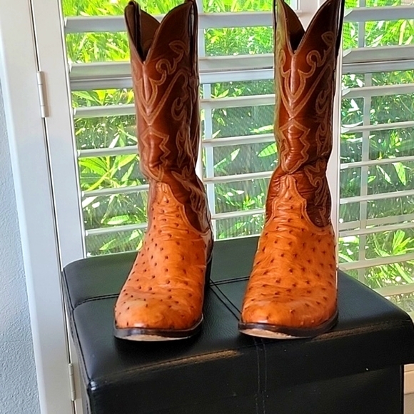 Lucchese Other - Lucchese Mens Brown Full Quill Ostrich Leather Sz 9 1/2 D